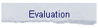 Evaluation